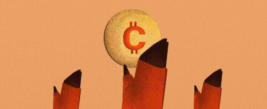 “Coincoin”, gruñen en la granja de criptomonedas de Maracay