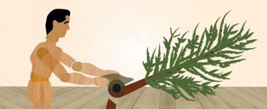 Se hizo el turco para serruchar el negocio de la madera