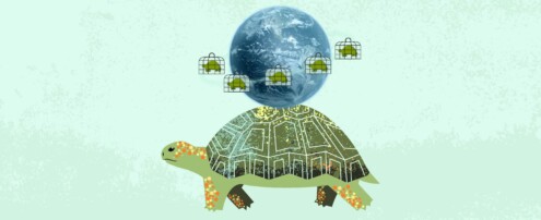 La peculiar ‘Operación Morrocoy’ de Orinoco Reptiles