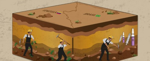 Leishmaniasis: enfermarse en Venezuela para curarse en Brasil